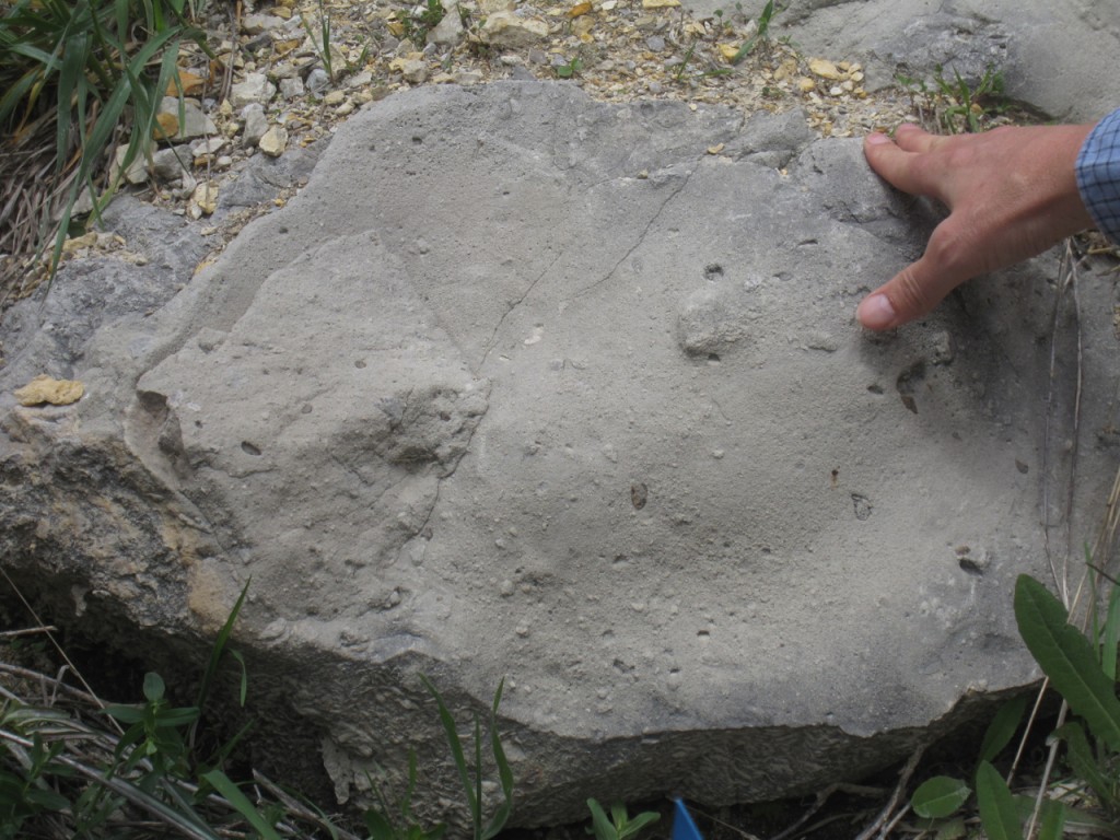 Polymict impact breccia.