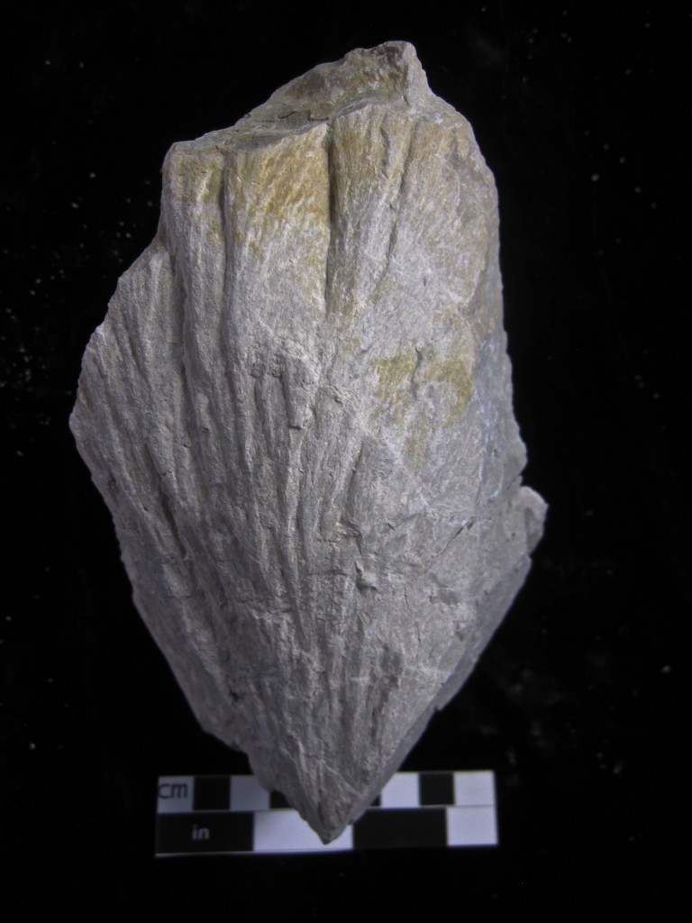 Kentland shattercone in Silurian carbonate. Click for larger.