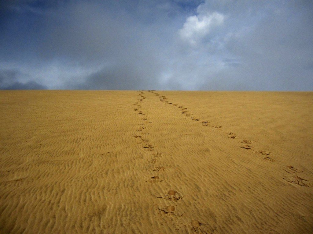 The Dune Climb