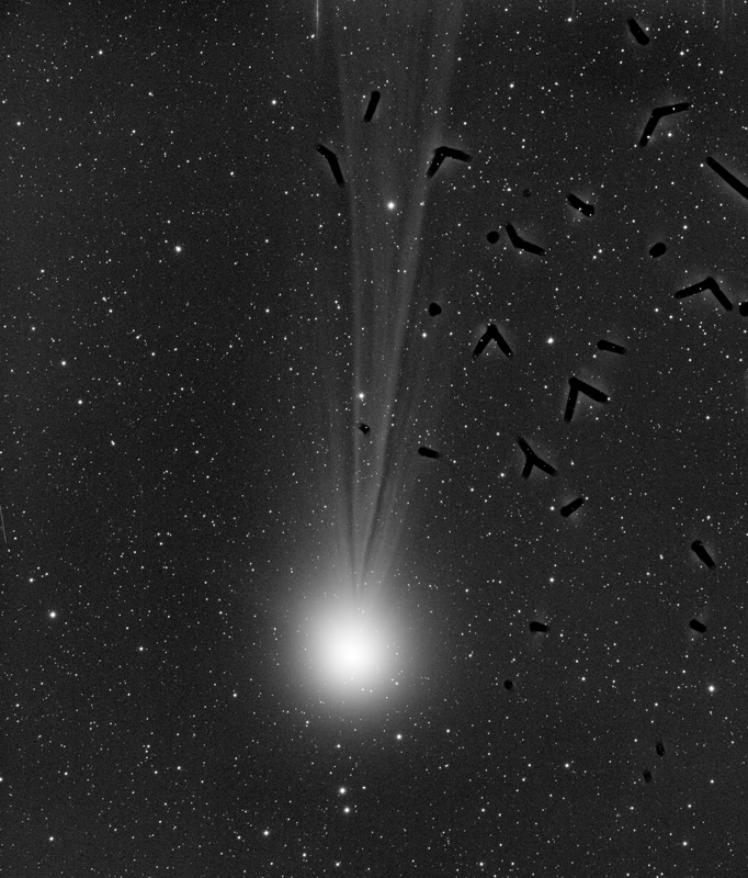 Comet Lovejoy Jan 15, 2015.  STL11000 on Tak FSQ 106. 5 min exposure.  With frost!